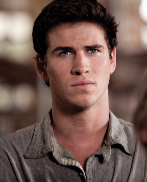 Gale_watching